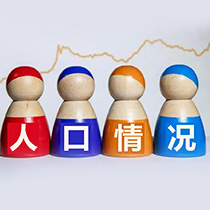 人口情况