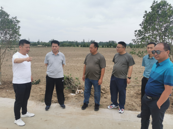 区委常委,副区长苏永利到孙庙乡就乡村振兴工作开展