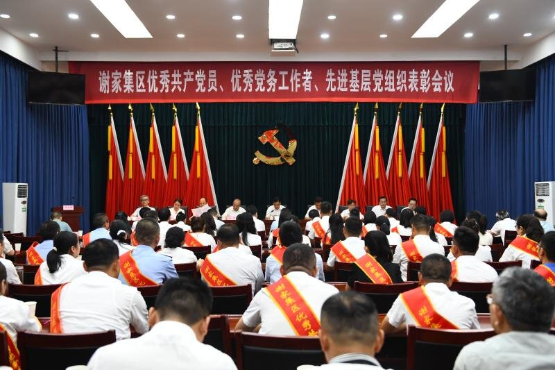 谢家集区召开优秀共产党员、优秀党务工作者、先进基层党组织表彰会议