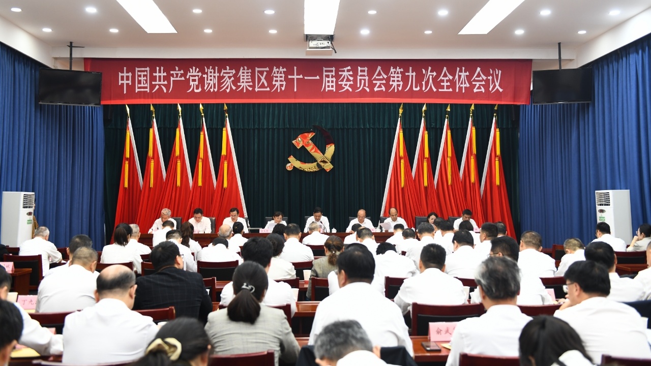 中共谢家集区委十一届九次全会召开