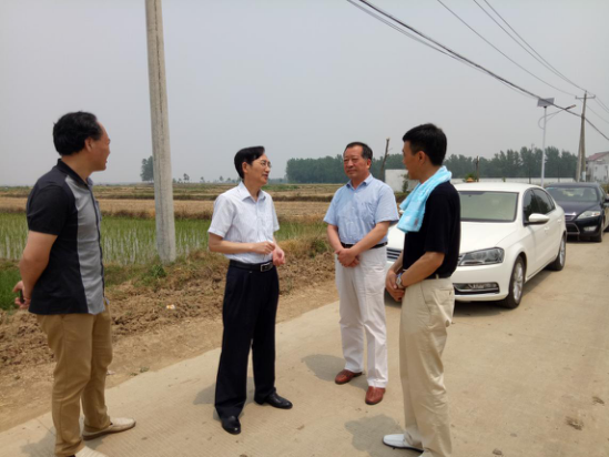 潘国平率队督察秸秆禁烧工作_淮南市谢家集区人民政府